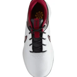 Nike Men's Victory Pro 3 Waterproof Spiked Golf Shoes