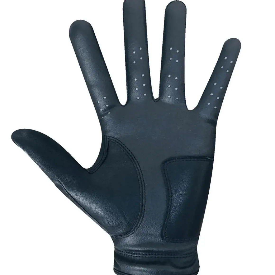 Rife Men's RX2 All Weather Golf Glove
