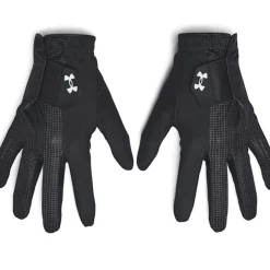 Under Armour Men's Drive Storm Gloves - Pair