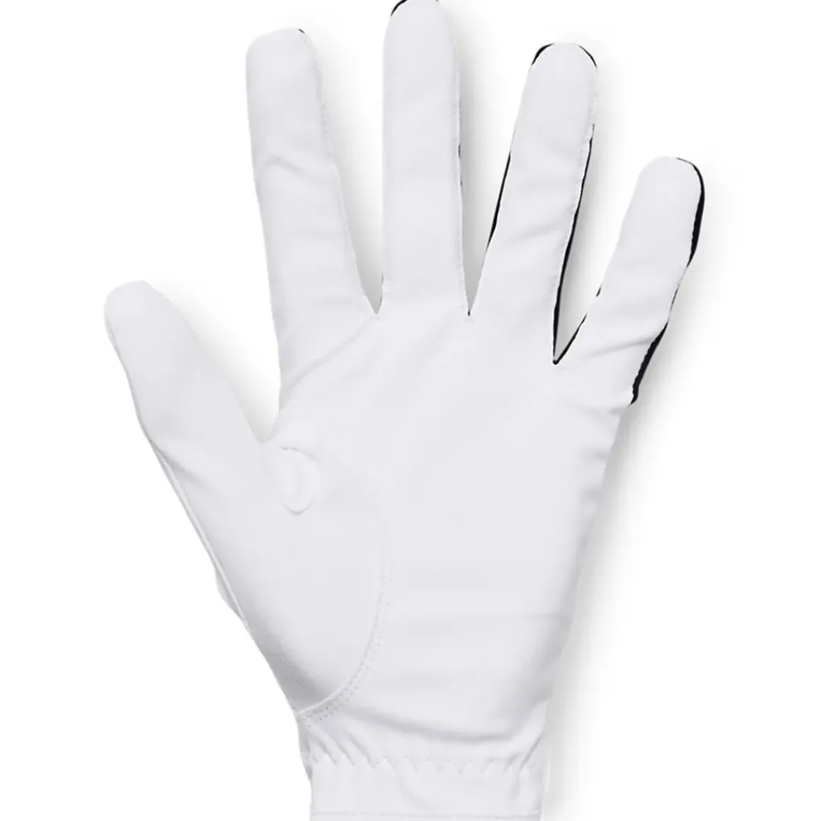 Under Armour Men's Medal Golf Glove